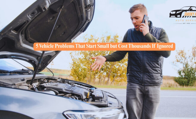 person looking at engine of their car